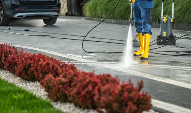 Best Sidewalk and Walkway Cleaning  in Viera East, FL